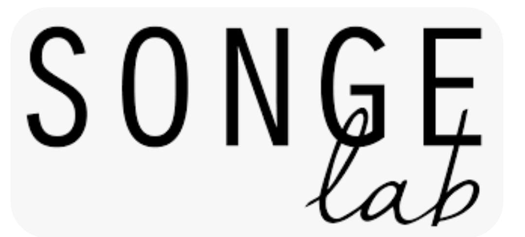 Songe Lab Logo Collaboration
